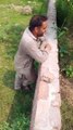 Prank with friends