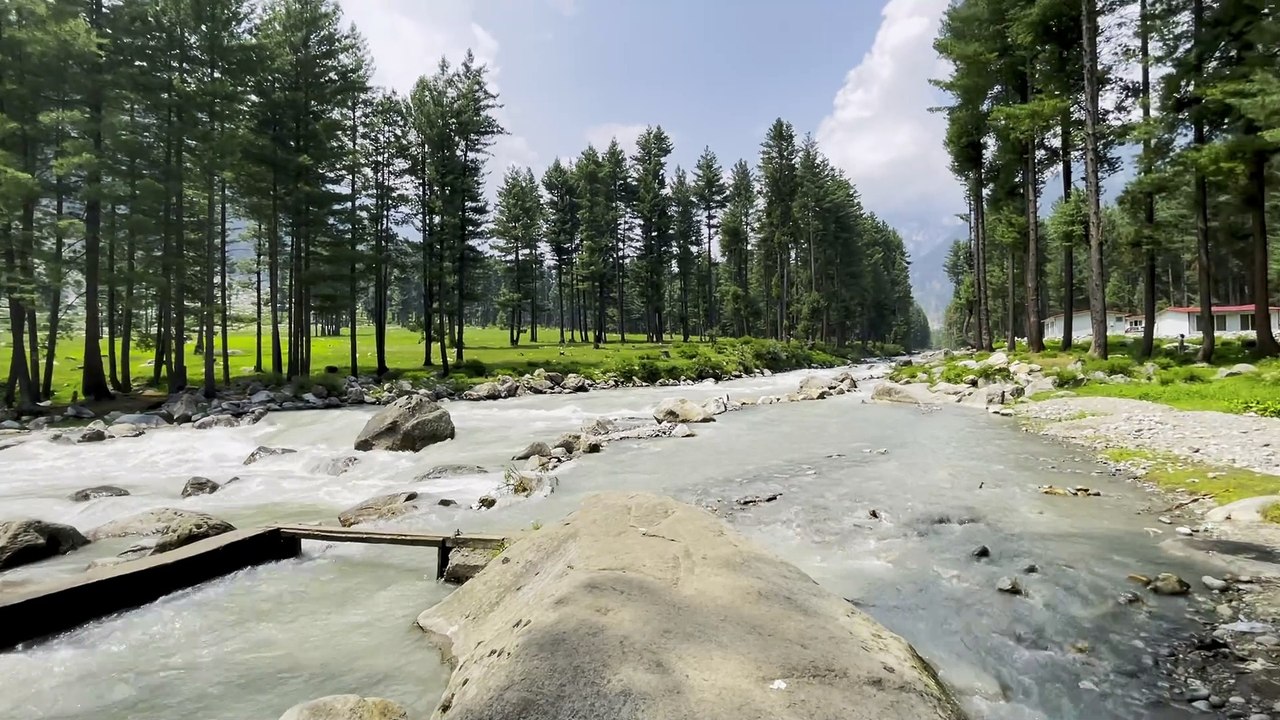 Nature