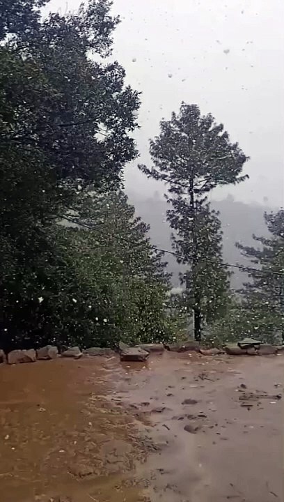 Snow falling