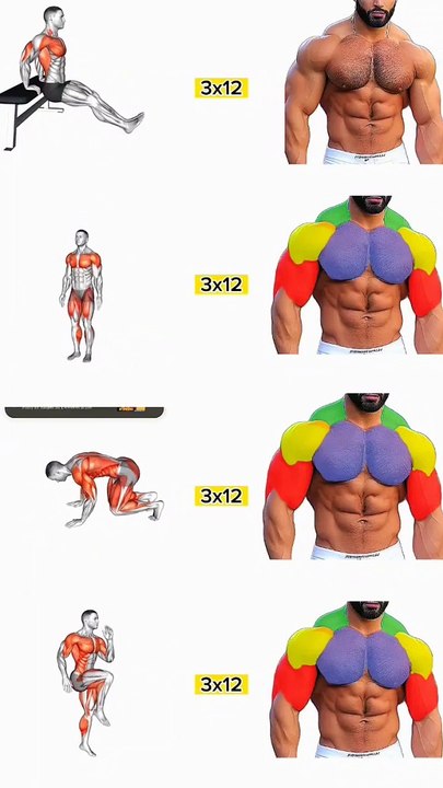 Ultimate Full Body Workout - No Equipment Needed - Build Muscle