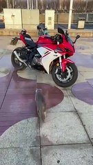 Moto bike riders #ultimateriders #shorts