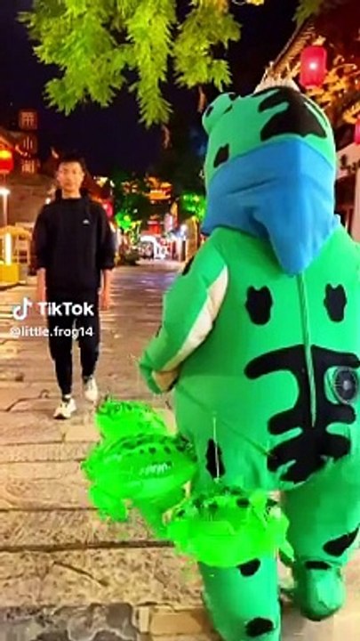 Funny Frog Video
