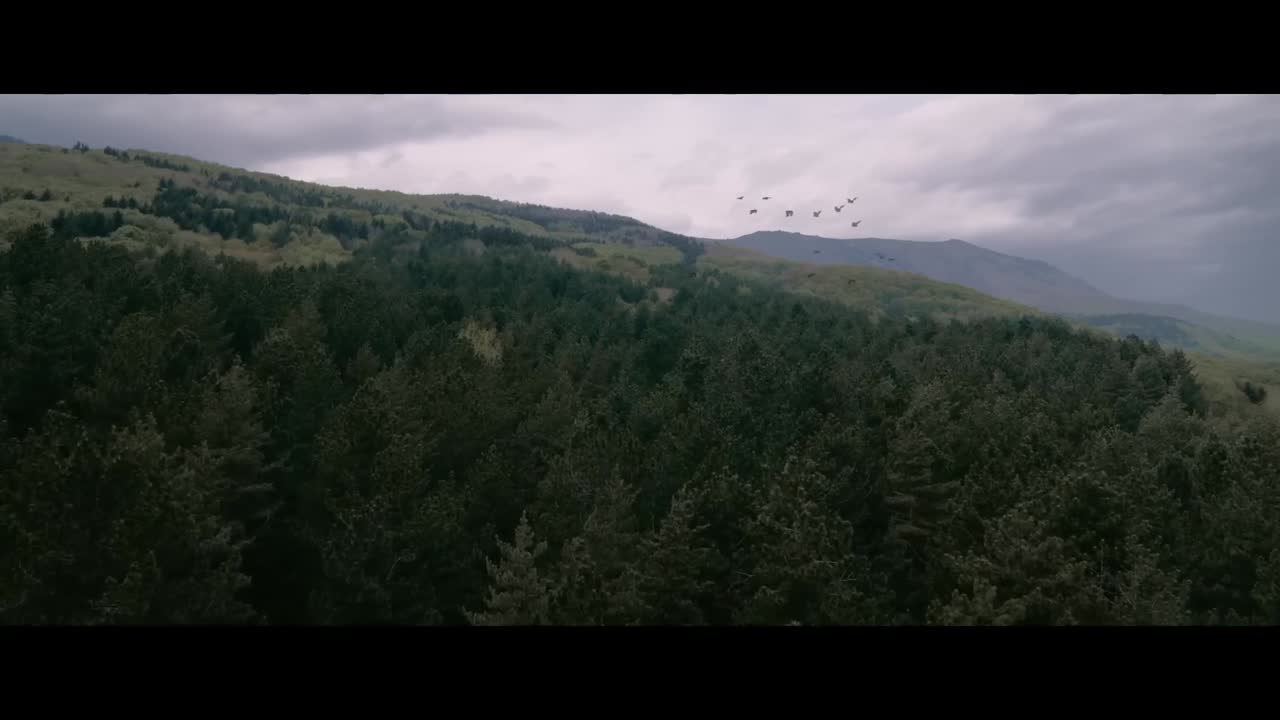 'Hellboy: The Crooked Man' (2024) - Primer tráiler