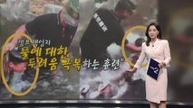 '물고문 아니야?' 中 어린이 캠프 아동학대 논란 [앵커리포트] / YTN