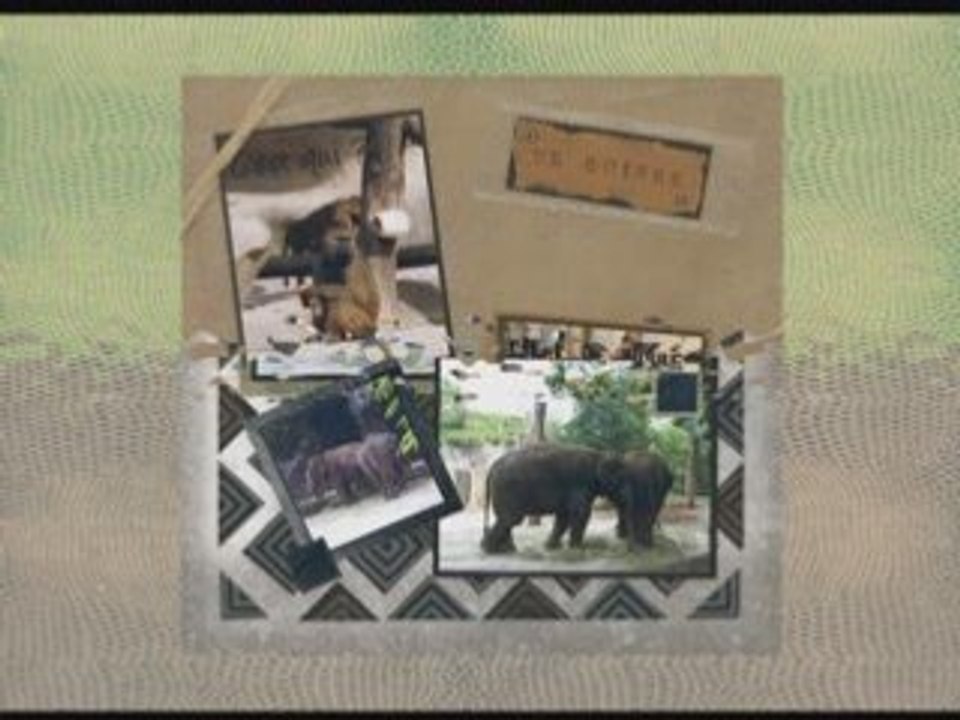 Zoo