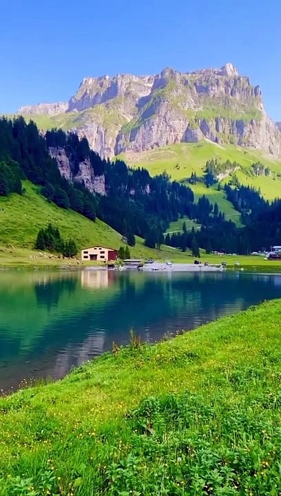 beautiful video