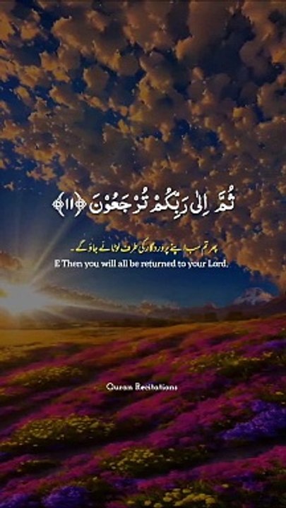 Qurani talimaat