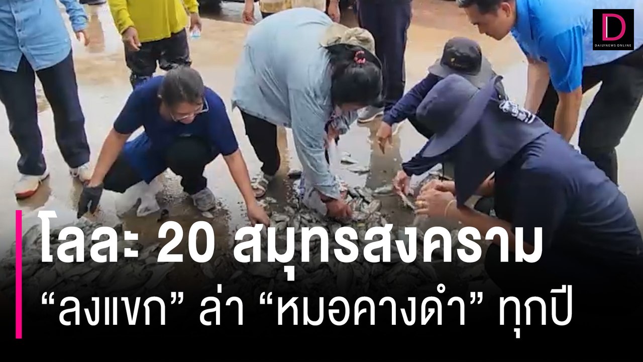 โลละ 20! สมุทรสงคราม ขานรับข้อเสนอ หลัง "ลงแขก" ล่า "หมอคางดำ" ทุกปี | HOTSHOT เดลินิวส์ 02/07/67
