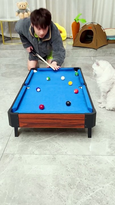 Cat 8 ball pool player