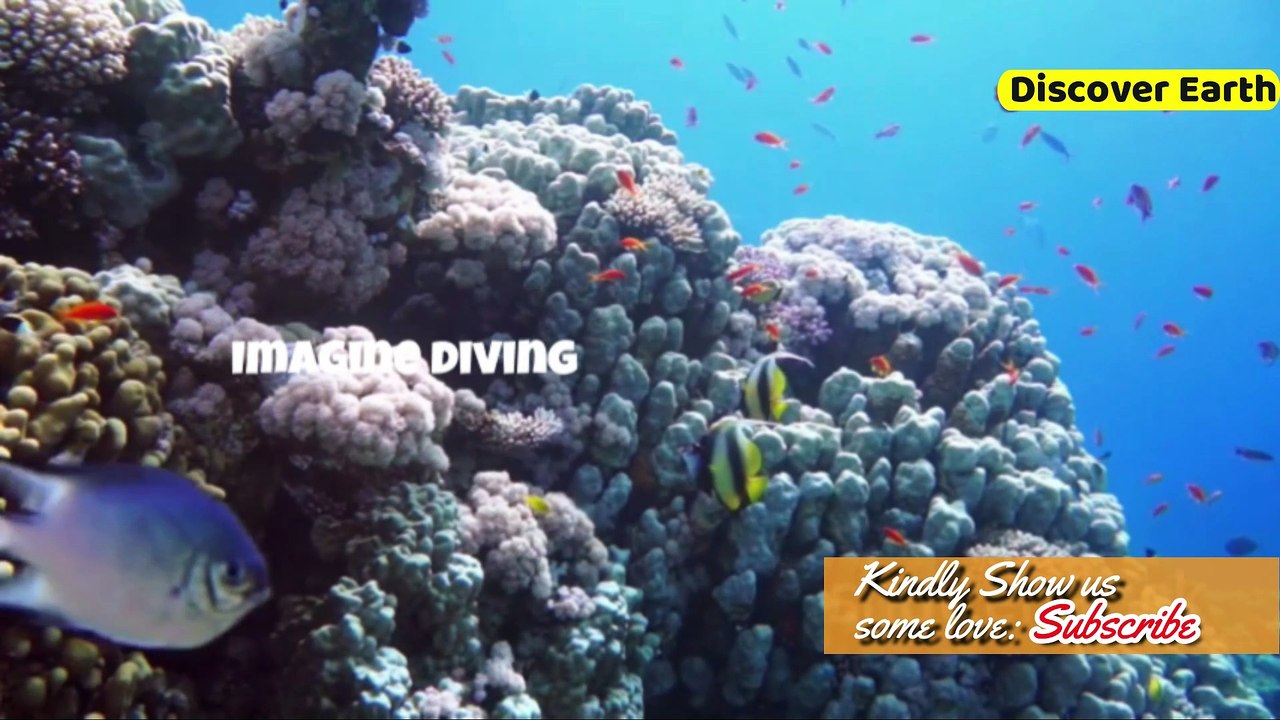 The Untold Secrets Hidden In SOLOMON ISLAND Will Shock You