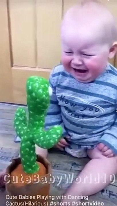 Cute Babies Playing with Dancing Cactus (Hilarious)Cute Baby Funny Videos