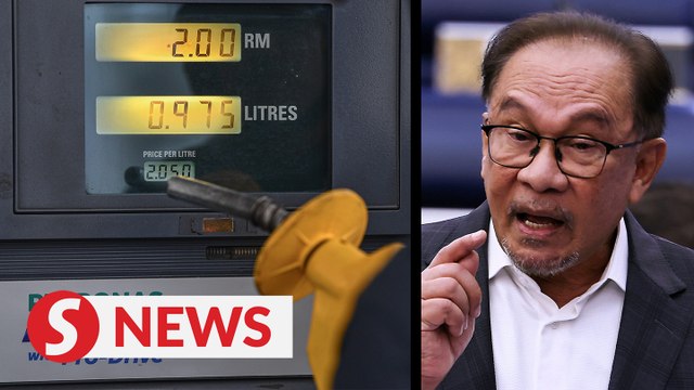 Govt studying impact of various measures before deciding on RON95 subsidy rationalisation - Anwar