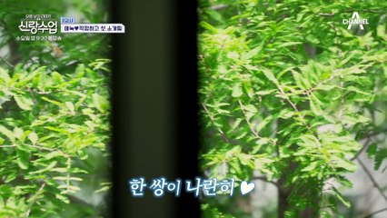 [선공개] 트로트 커플 각?! 운명의 데스티니를 느낀 에녹♥혜연의 소개팅