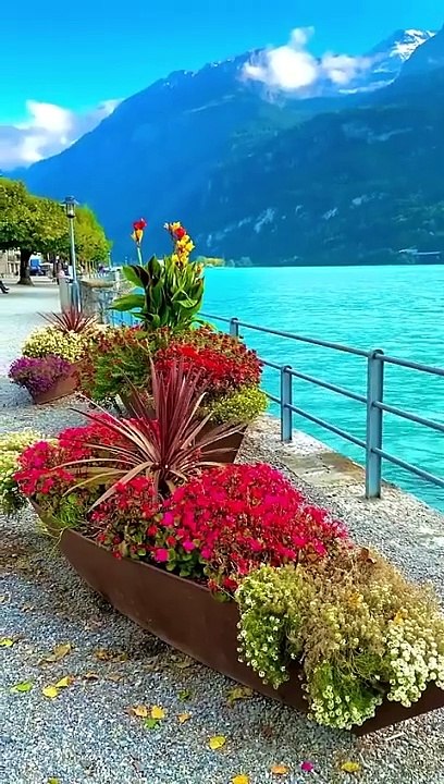 Switzerland is Heaven on Earth❤️