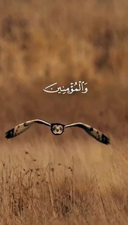 Facebook 59