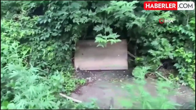 Diyarbakır'da dron destekli uyuşturucu operasyonu: 800 kilo esrar türevi ve 3 bin 276 kök kenevir ele geçirildi