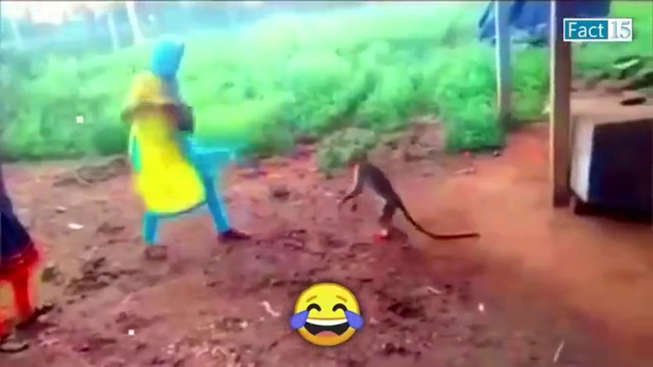 इन जानवरों से पंगा ना बाबा ना .... Funny Animals Video 2022 (Part-2)