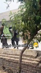 Most Viral Vidio on Tiktok