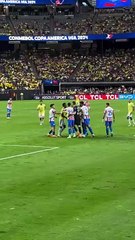 Brazil Vs Paraguay Fight Copa America 2024