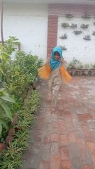 Little prince | bilo rani