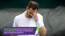 Breaking News - Andy Murray pulls out of Wimbledon singles