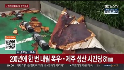 200년에 한 번 내릴 폭우…해마다 독해지는 장맛비
