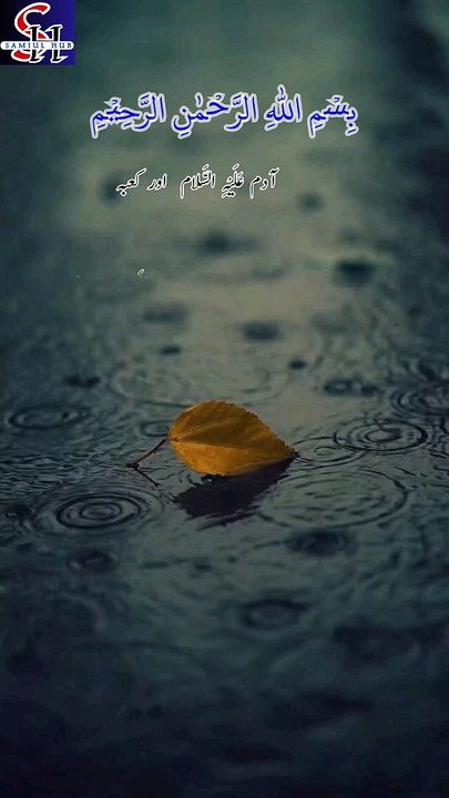 adam A.S Aur Kaaba | حضرت آدم علیھ سلام دنیا میں تصریف | #trending #shortsvideo #urdu