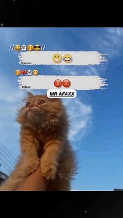 Funny videos