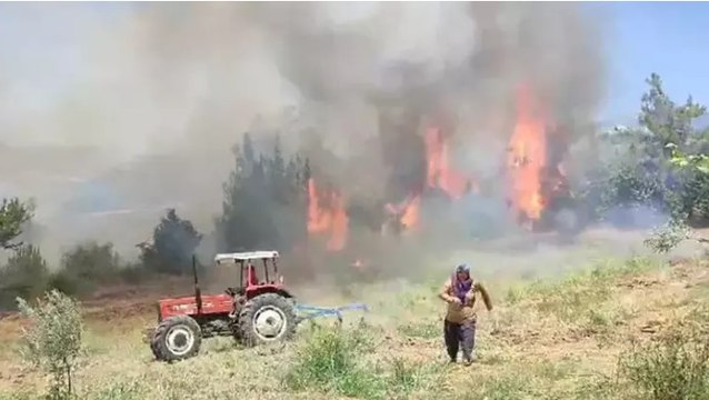 Adana’nın Kozan ilçesinde orman yangını