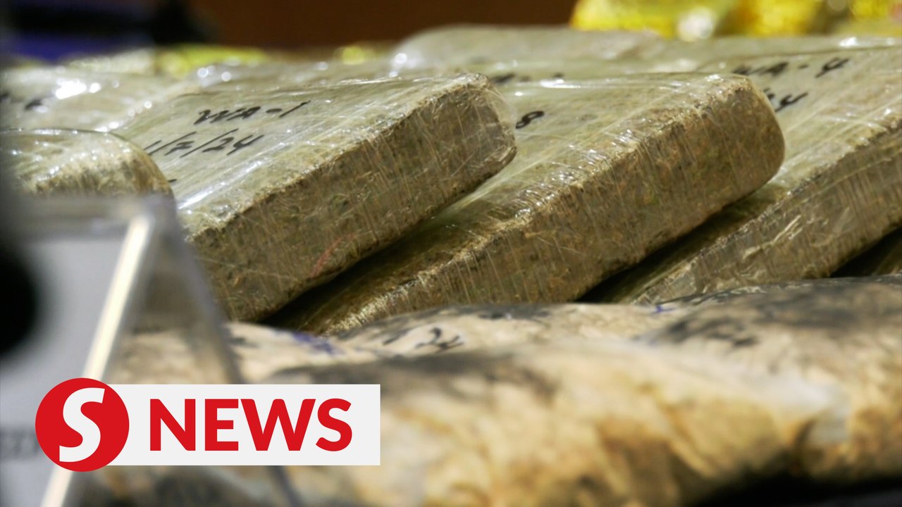 Three drug-trafficking rings busted in Selangor