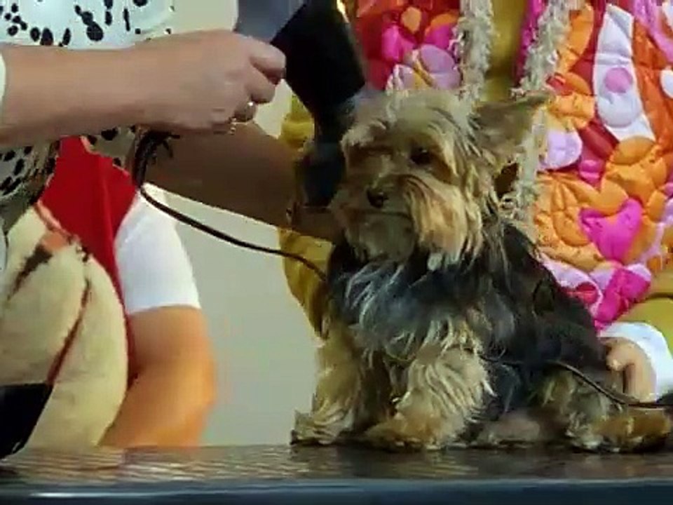 Die Pfefferkörner - Staffel 3, Folge 13. Diamantenfieber