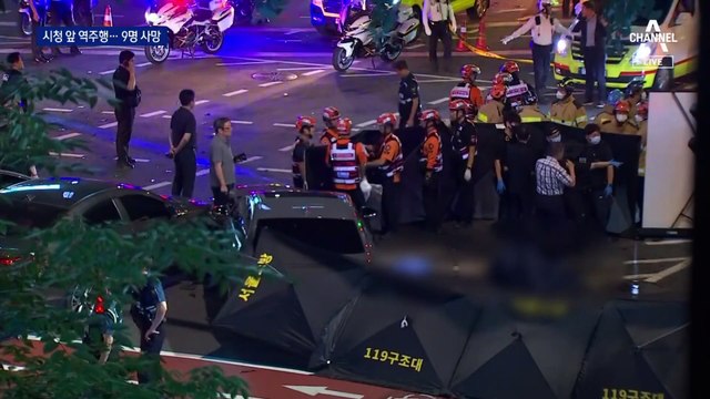 서울 시청역 앞 200m 역주행 돌진…9명 참변