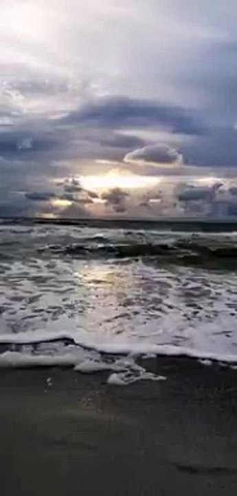 Sample video