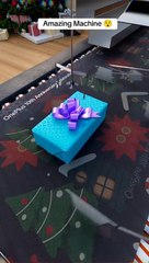 Most Viewed Video on tiktok