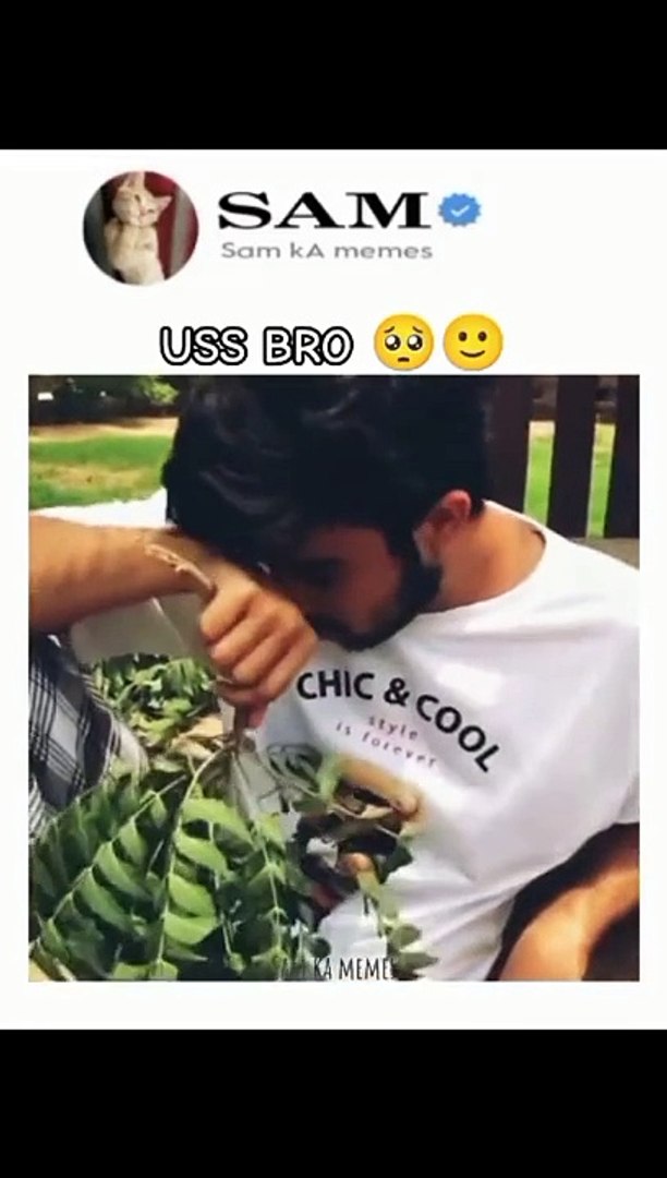 Funny memes