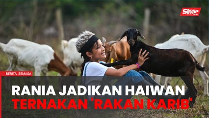 Enggan bermain gajet, Rania jadikan haiwan ternakan 'rakan karib'
