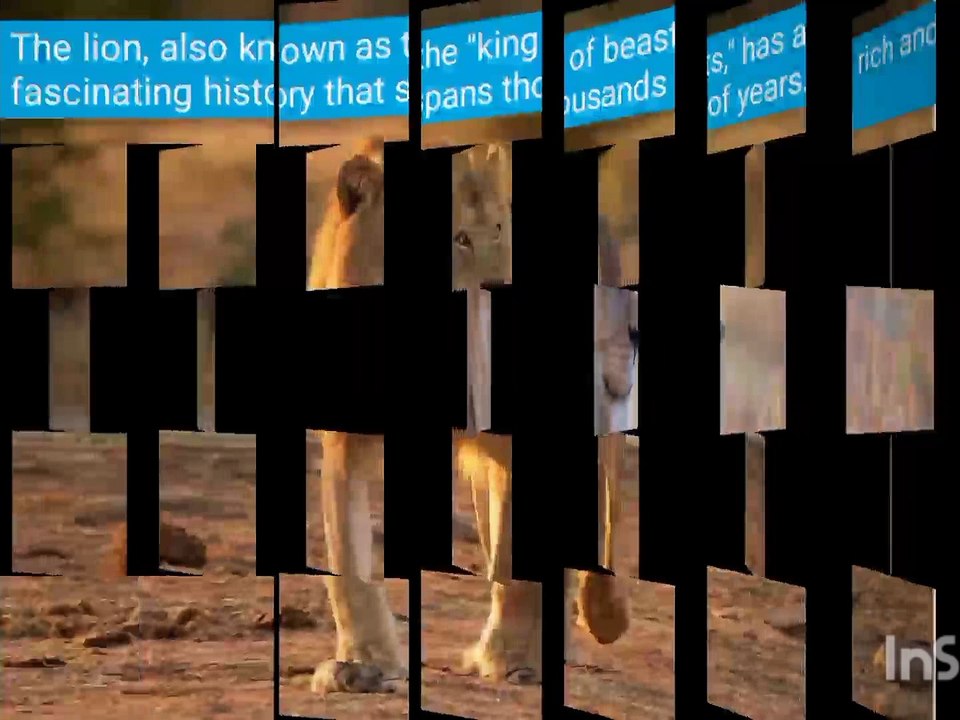 About Lion