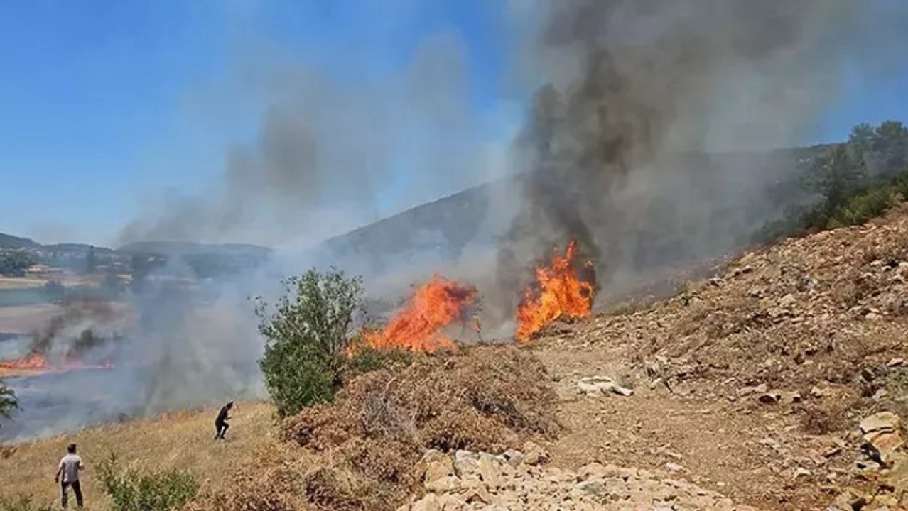 Muğla'nın Menteşe ilçesinde orman yangını