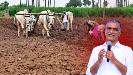 Descargar video: ఇందిరమ్మ పాలన అంటే ఇదేనా.?  Congress ప్రభుత్వంపై  విరుచుకుపడ్డ Harish Rao | Oneindia Telugu