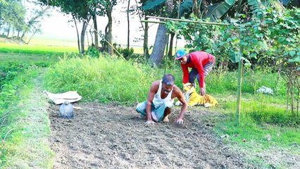 Fake Tiger vs Crazy MAN PRANK 2022 - Fake Tiger Man Prank So Funny Reaction - ComicaL TV