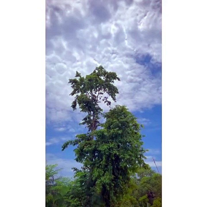 Nature ✨✨✨