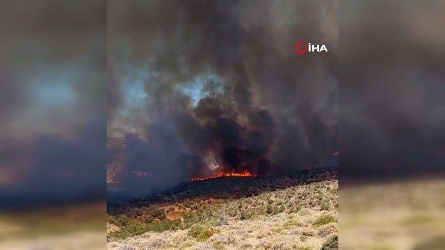 Kos, Girit ve Sakız Adası'nda orman yangını