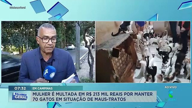 Polícia Ambiental resgata 70 gatos e um cachorro em situação de maus-tratos