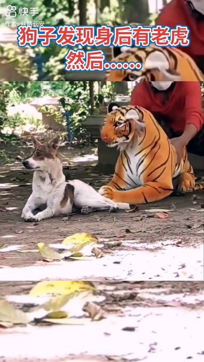Funny video