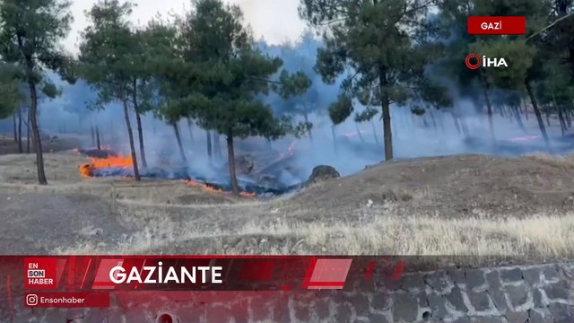 Gaziantep'in İslahiye ilçesinde çıkan orman yangını