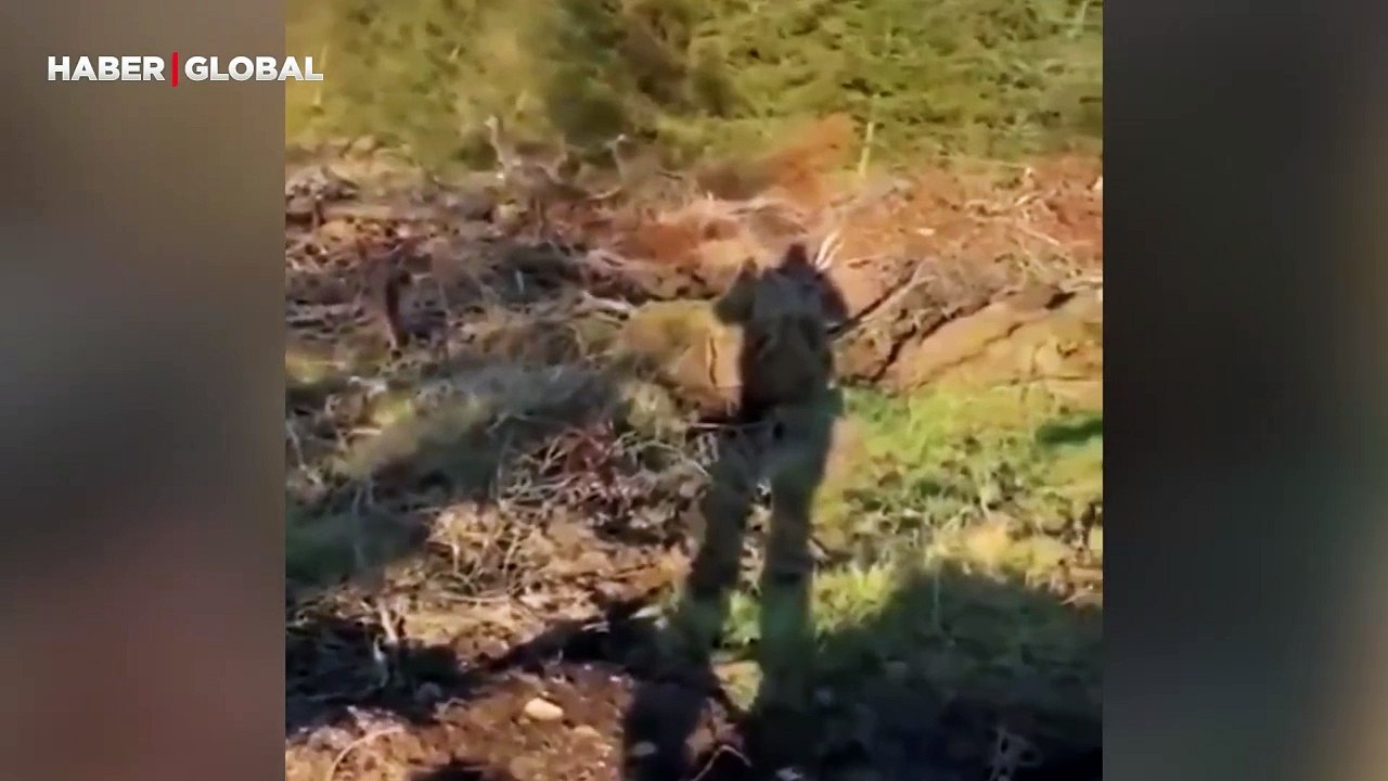 Kendisini takip eden avcıya verdiği dersle izlenme rekoru kıran geyiğin görüntüleri viral oldu