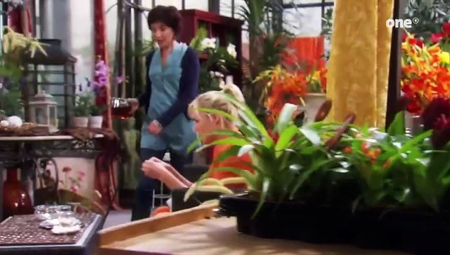 Rote Rosen Folge 1164