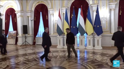 Orban calls for Ukraine ceasefire to speed up peace talks on Kyiv visit