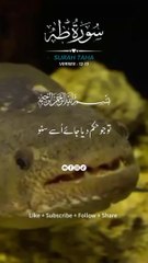 Surah Taha Beautiful Tarjuma  Ayat (12-13) #quran #quranchapter