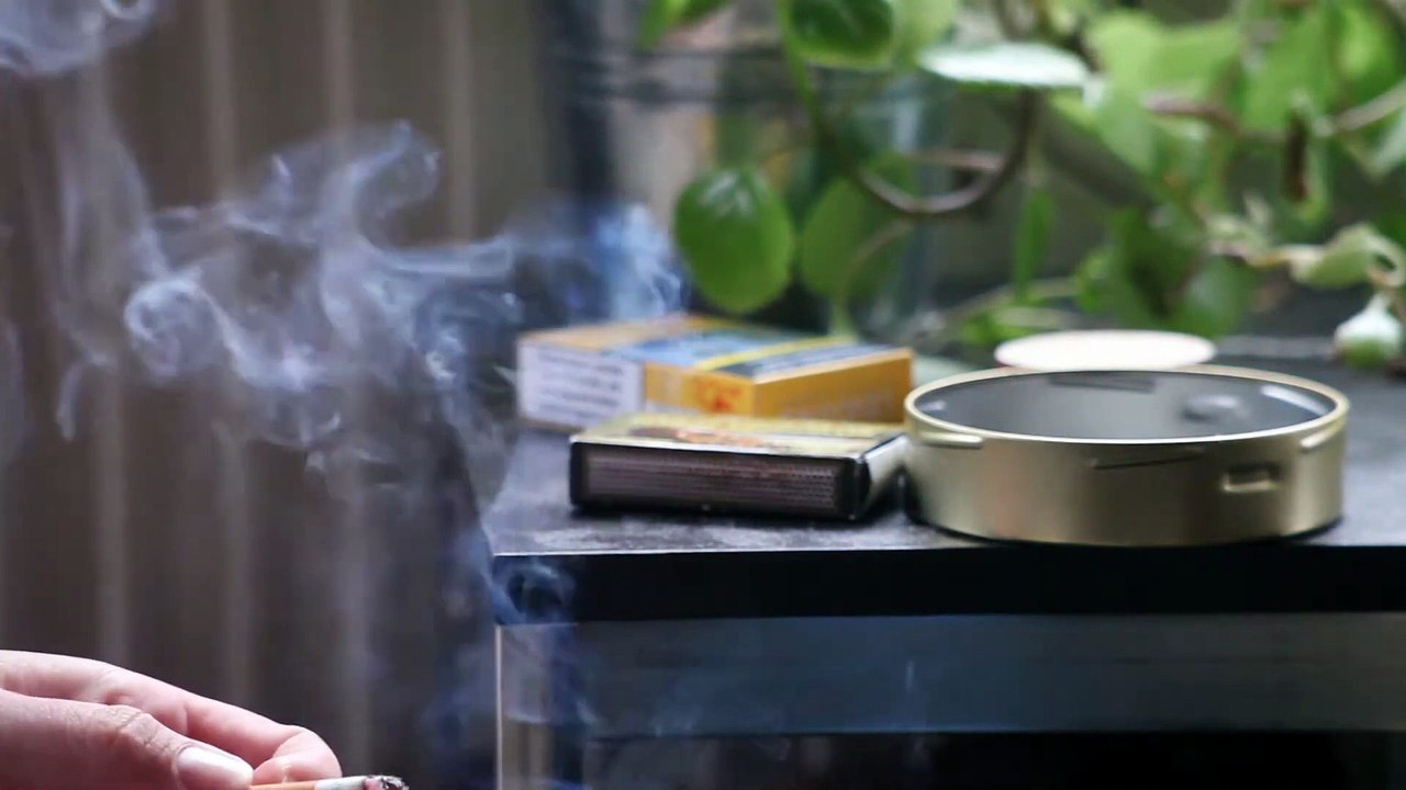 Flow & Rive | movie | 2021 | Official Trailer